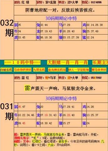王中王特馬資料最準一肖——揭秘精準預測的秘密，揭秘王中王特馬資料最準預測，一肖精準預測的秘密
