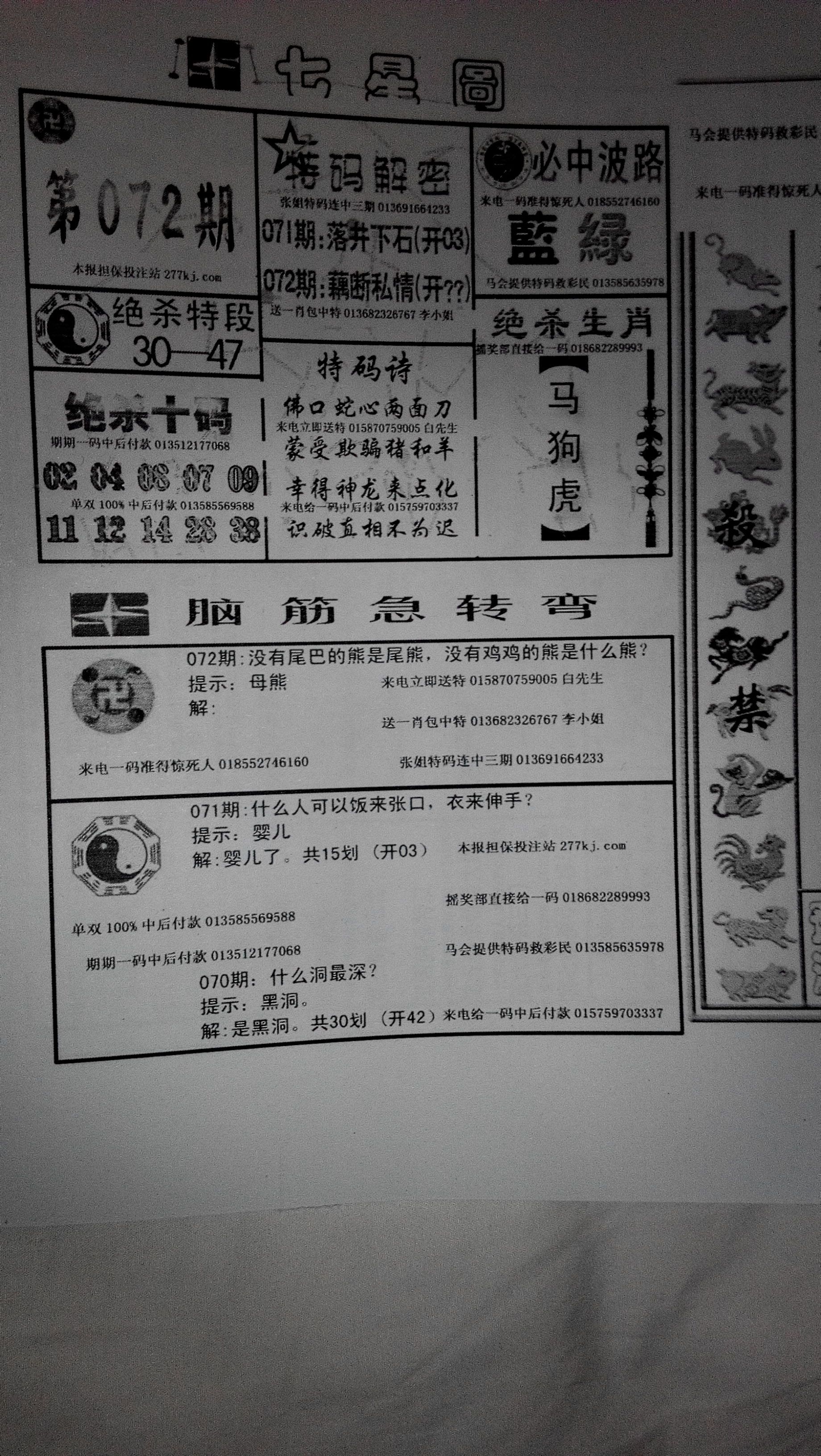 王中王211期指一生肖，深度解析與預(yù)測，王中王211期生肖深度解析與預(yù)測，揭秘未來走向