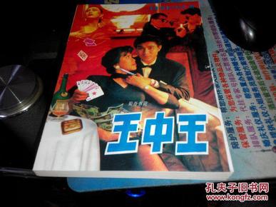 王中王資料一肖中特小說，深度解析與探索，王中王資料一肖中特小說的深度解析與探索之旅