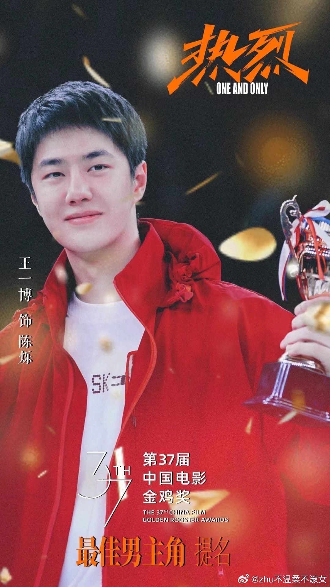王中王一肖一特一中一中，探尋背后的故事與奧秘，探尋王中王一肖背后的故事與奧秘