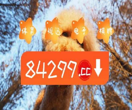 澳門天天開彩好正版掛牌第168期，探索彩票的魅力與策略，澳門彩票探索，魅力與策略揭秘 第168期正版掛牌開彩體驗