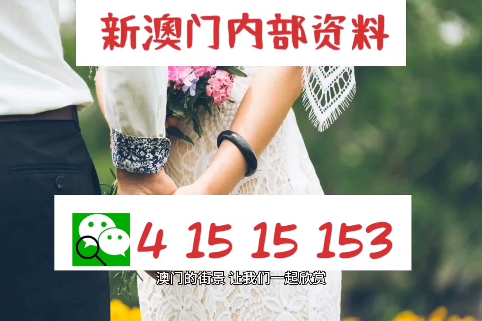 新澳精準(zhǔn)資料，深度解析與探索，新澳精準(zhǔn)資料深度解析與探索之旅