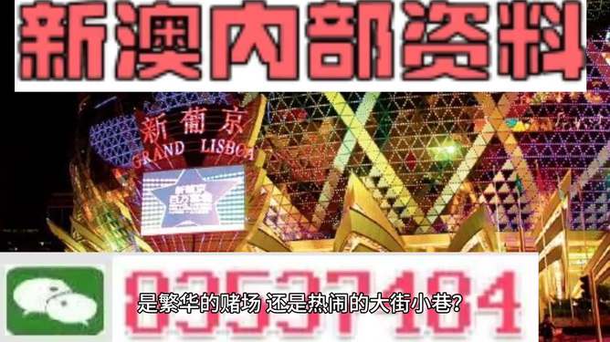 新澳門精準(zhǔn)資料大全管家婆料，探索與解析，澳門精準(zhǔn)資料大全解析，探索管家婆料內(nèi)幕