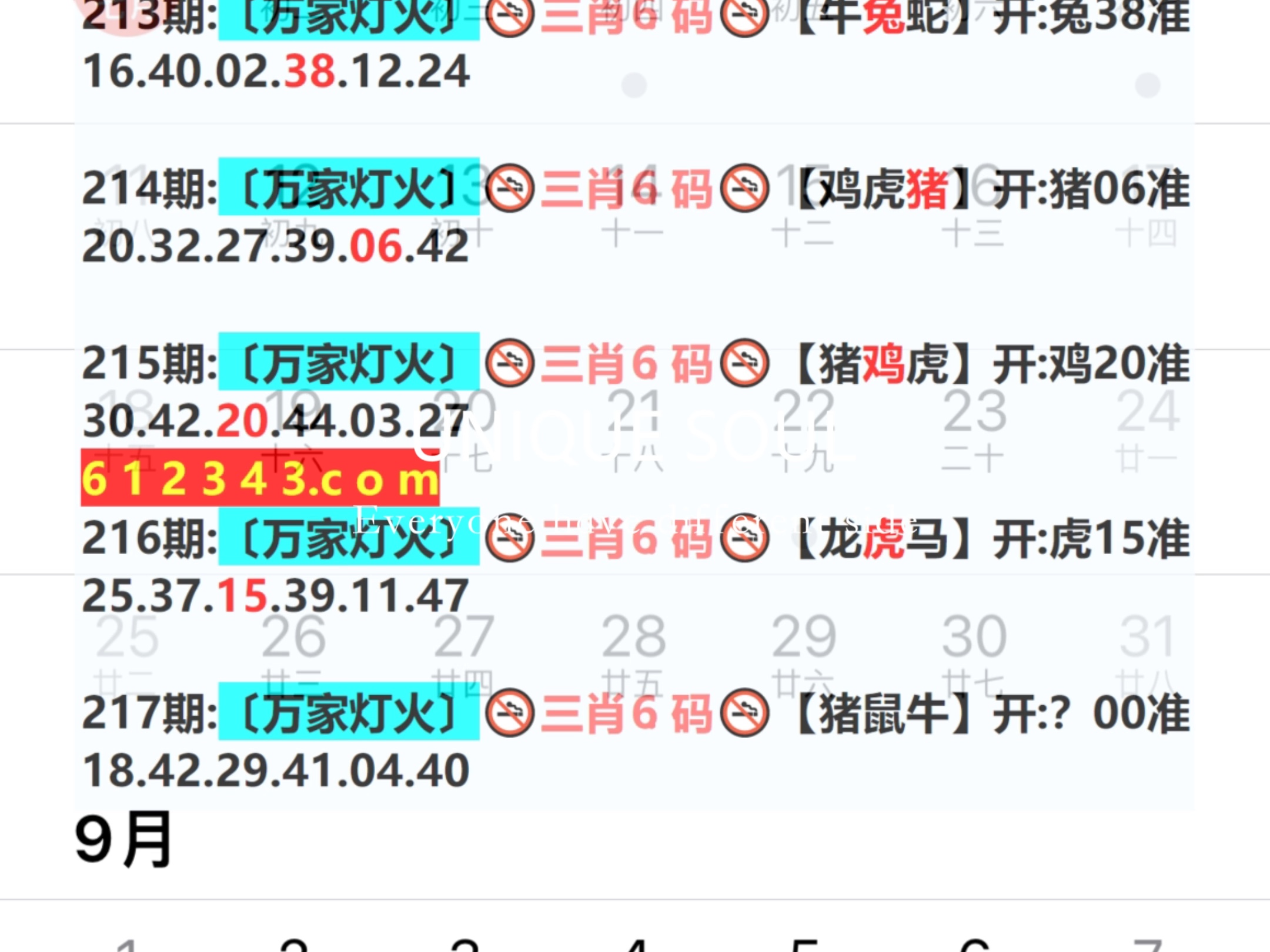新奧今日六肖中特，揭秘背后的秘密與趨勢分析，揭秘新奧今日六肖中特背后的秘密與趨勢分析