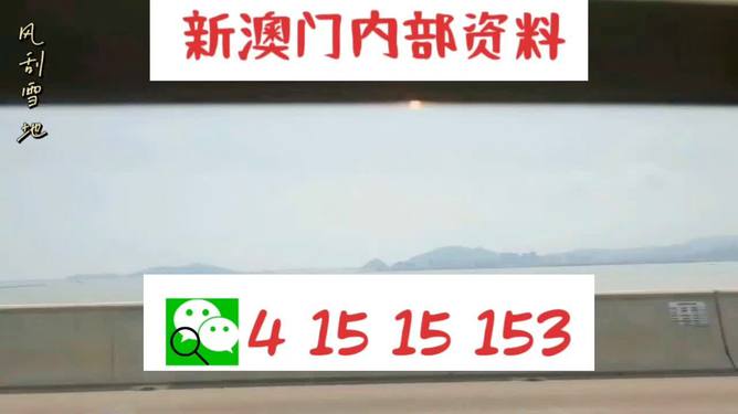 新澳2025最新資料生肖，深度解析與預(yù)測(cè)展望，新澳2025最新生肖資料深度解析與未來(lái)預(yù)測(cè)展望