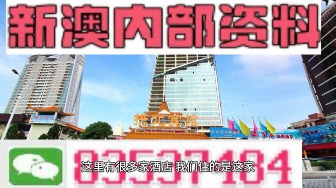 新澳內(nèi)部期期精準(zhǔn)，深度解析與SEO優(yōu)化策略，新澳內(nèi)部期期精準(zhǔn)深度解析與SEO優(yōu)化策略探討