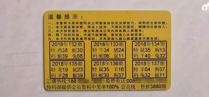 香港中特期期準(zhǔn)資料，深度解析與探索，香港中特期期準(zhǔn)資料深度解析與探索報(bào)告