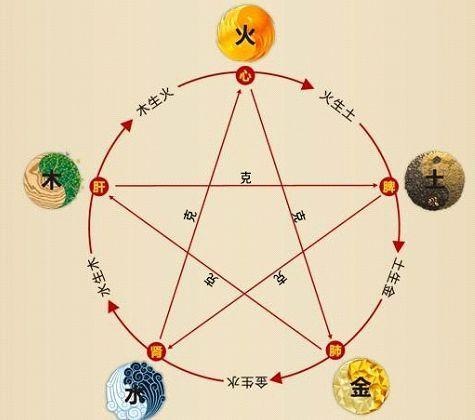 鐵算算盤4887最準(zhǔn)資料