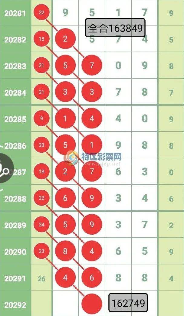 王中王彩票查詢精選號(hào)碼，探索彩票背后的秘密與策略，王中王彩票查詢，揭秘精選號(hào)碼背后的秘密與策略