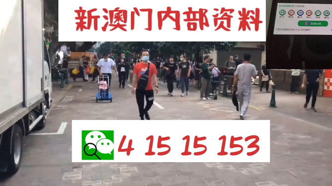 澳門管家婆一馬一中一開，揭秘背后的秘密與策略，澳門管家婆一馬一中一開，揭秘背后的秘密與策略揭秘背后的秘密與策略