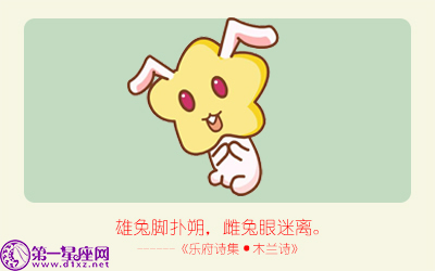 揭秘精準生肖，探尋神奇的數(shù)字組合777778與888888背后的生肖秘密，揭秘生肖秘密，數(shù)字組合777778與888888背后的生肖傳奇