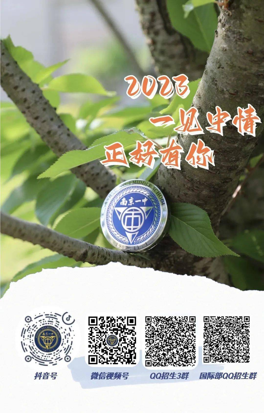 一碼一肖一特一中，揭秘背后的秘密與奧秘，揭秘一碼一肖一特一中背后的秘密奧秘