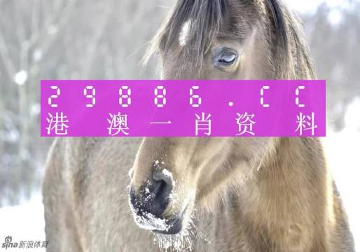 澳門一肖一碼，揭秘一個關(guān)于精準(zhǔn)預(yù)測背后的故事，澳門一肖一碼揭秘，精準(zhǔn)預(yù)測背后的神秘故事