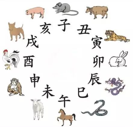 澳門天天彩期期精準(zhǔn)十二生肖預(yù)測——揭秘彩票秘密，澳門天天彩期期精準(zhǔn)十二生肖預(yù)測，揭秘彩票秘密之獨(dú)家解析