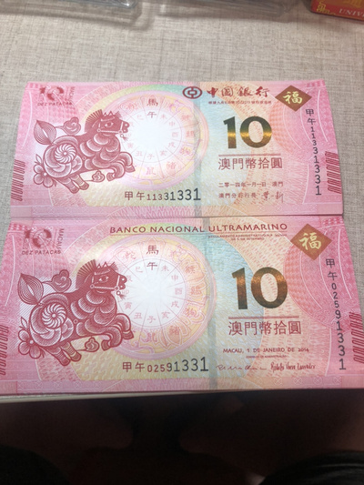 揭秘明天澳門必中生肖的神秘面紗，揭秘明天澳門必中生肖的神秘秘密
