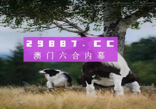 揭秘7777788888精準新跑狗——全方位解讀與體驗，揭秘精準新跑狗，全方位解讀與體驗7777788888跑狗秘籍