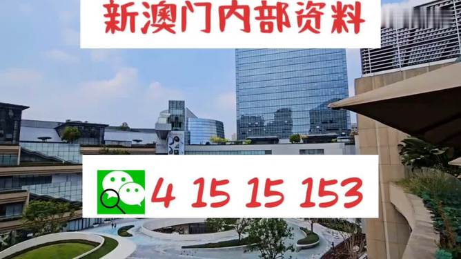 芳草地2025澳門資料，探索未來的奧秘，探索澳門未來奧秘，芳草地資料揭示的藍圖 2025年展望