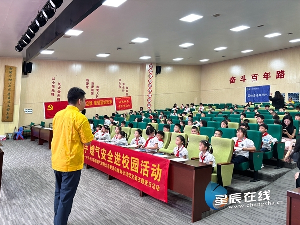 新奧正版資料的SEO優(yōu)化文章，新奧正版資料的SEO優(yōu)化指南