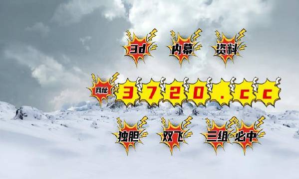 揭秘4887王中王精準資料，全方位解讀，讓你贏在起跑線，揭秘王中王精準資料，全方位解讀助你贏在起跑線