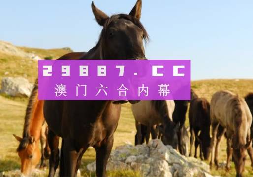 澳門(mén)管家婆一肖中特與香港阿飛免費(fèi)印刷圖庫(kù)的獨(dú)特魅力 —— 2024澳門(mén)天天開(kāi)好彩大全探索，澳門(mén)管家婆與香港阿飛圖庫(kù)魅力探索，2024澳門(mén)天天彩好彩大全揭秘