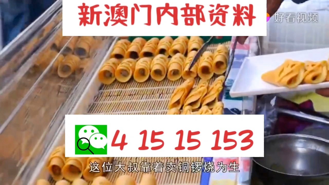 新天天彩免費資料大全300期，探索彩票世界的奧秘與機會，探索彩票世界奧秘與機會的新天天彩免費資料大全300期