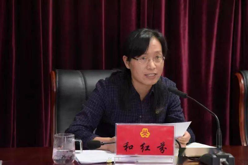 二四六香港期期中的資料解析與SEO優(yōu)化策略，香港期期二四六資料解析與SEO優(yōu)化策略探討