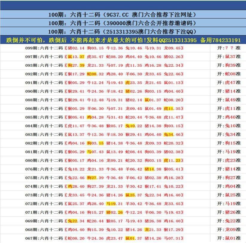 澳門無(wú)錯(cuò)九肖今日搜狗，探索與解析，澳門無(wú)錯(cuò)九肖今日搜狗，深度解析與探索
