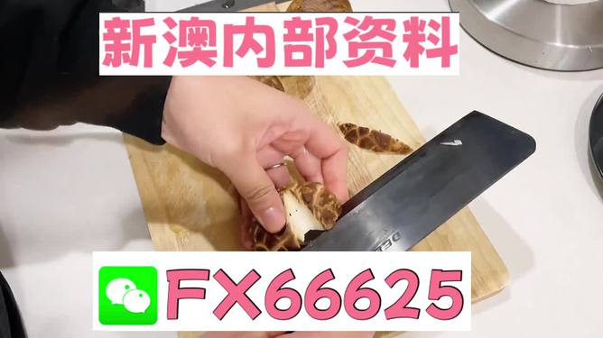 澳門九點半9點半網(wǎng)站——探索其魅力與優(yōu)勢，澳門九點半網(wǎng)站，魅力與優(yōu)勢探索