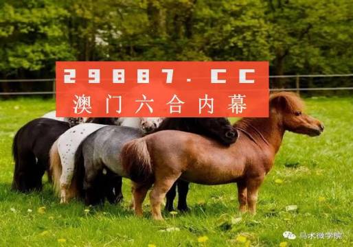 一馬中特內(nèi)部精準(zhǔn)資料免費(fèi)大公開(kāi)，揭秘行業(yè)秘密，助力個(gè)人成長(zhǎng)，揭秘行業(yè)秘密，一馬中特內(nèi)部精準(zhǔn)資料大公開(kāi)，助力個(gè)人成長(zhǎng)免費(fèi)獲取