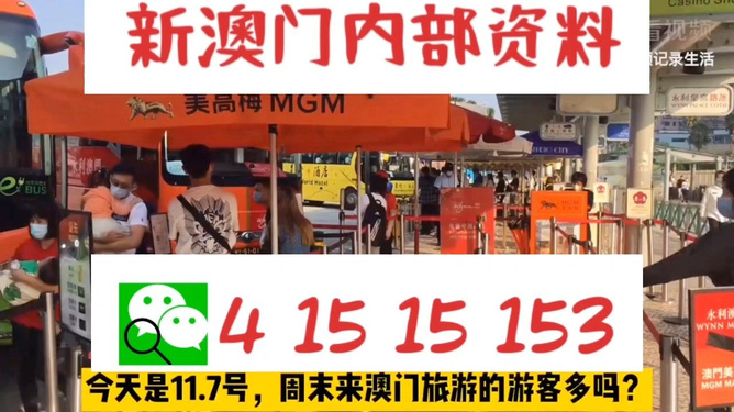 新澳今晚上9點(diǎn)30開獎(jiǎng)直播視頻——全方位解讀與體驗(yàn)，新澳今晚9點(diǎn)30開獎(jiǎng)直播全方位解讀與體驗(yàn)獨(dú)家呈現(xiàn)