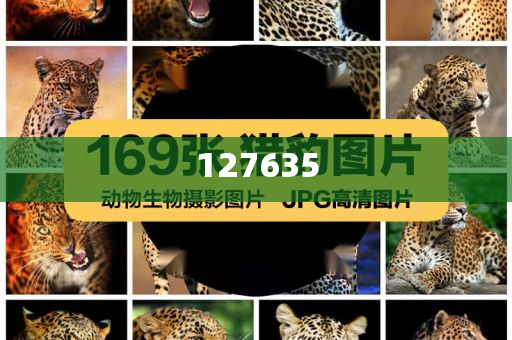 精準新傳真，揭秘數(shù)字組合7777788888的神秘面紗，揭秘數(shù)字組合7777788888的神秘面紗，精準新傳真解讀