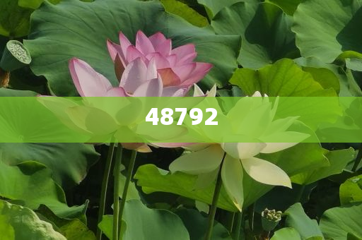 新奧彩免費提供，探索最佳彩票體驗之路，新奧彩免費體驗，探索最佳彩票之旅