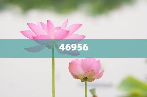 新奧集團(tuán)，邁向2025，天天開好彩的愿景與挑戰(zhàn)，新奧集團(tuán)邁向2025，實(shí)現(xiàn)天天開好彩的愿景與挑戰(zhàn)