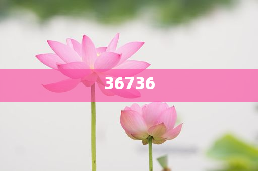 揭秘精準(zhǔn)新傳秘籍，7777788888免費(fèi)策略與SEO優(yōu)化，揭秘精準(zhǔn)新傳秘籍，免費(fèi)策略與SEO優(yōu)化指南