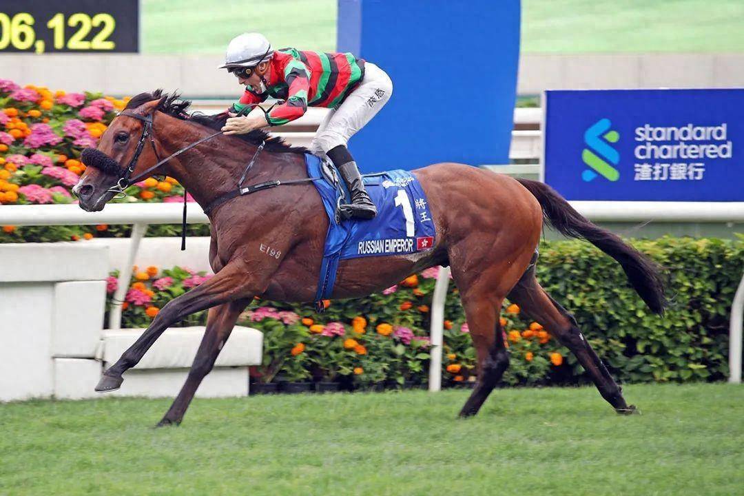 香港馬賽事，探索數(shù)字背后的激情與榮耀 7777788888，香港馬賽事，數(shù)字背后的激情與榮耀