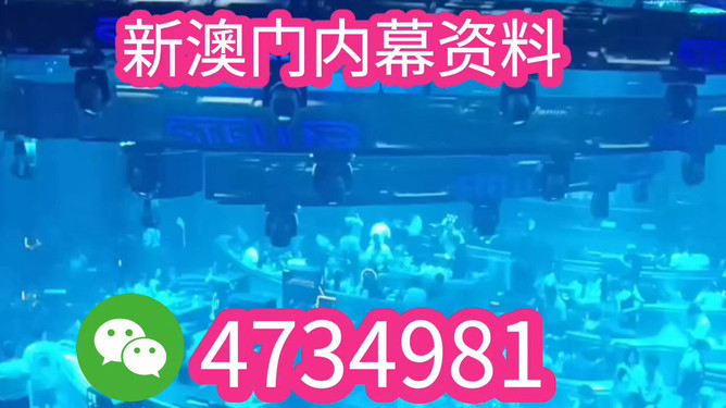 揭秘未來(lái)之星，2025新澳王中王，揭秘未來(lái)之星，2025新澳王中王風(fēng)采展示