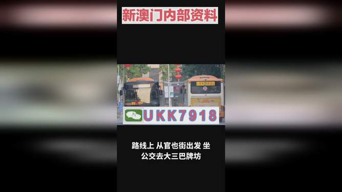 揭秘澳門今晚開(kāi)獎(jiǎng)號(hào)碼，預(yù)測(cè)與策略走向，澳門今晚開(kāi)獎(jiǎng)號(hào)碼揭秘與預(yù)測(cè)策略走向探討