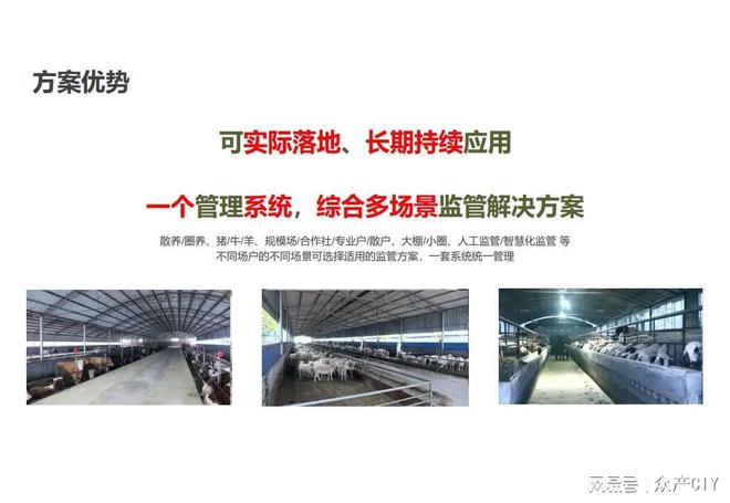 探索新澳芳草地，正版資料的免押之旅（2025年最新資訊），探索新澳芳草地，正版資料免押之旅（最新資訊）