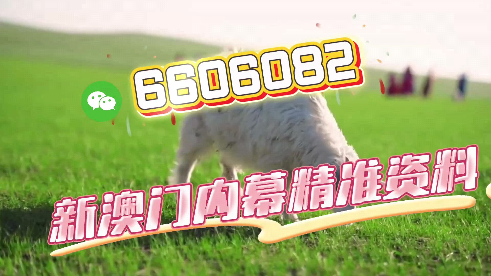 澳門今晚必開一肖一特，揭秘生肖彩票的魅力與預(yù)測技巧，澳門生肖彩票預(yù)測揭秘，一肖一特魅力與預(yù)測技巧探討