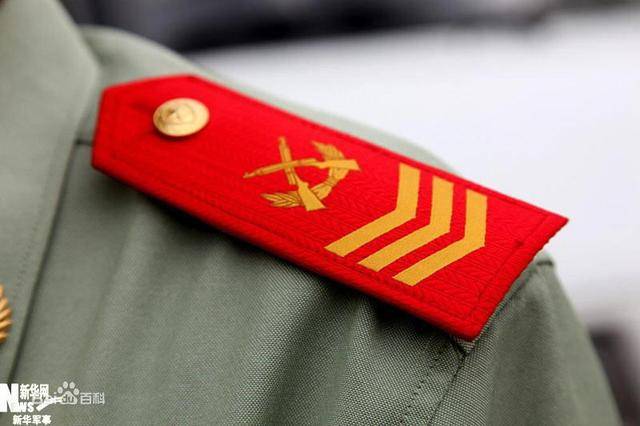 解析軍士長與士官長的差異，職責、權利及地位的對比，解析軍士長與士官長的職責、權利與地位差異對比