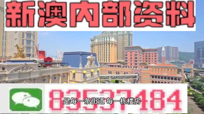 新澳門最精準(zhǔn)正最精準(zhǔn)龍門——探索澳門的魅力與機(jī)遇，澳門魅力與機(jī)遇探索，新澳門最精準(zhǔn)龍門