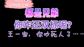 一肖二肖是什么意思——深度解析中國民俗中的生肖文化，深度解析中國民俗中的生肖文化，一肖二肖的含義與故事