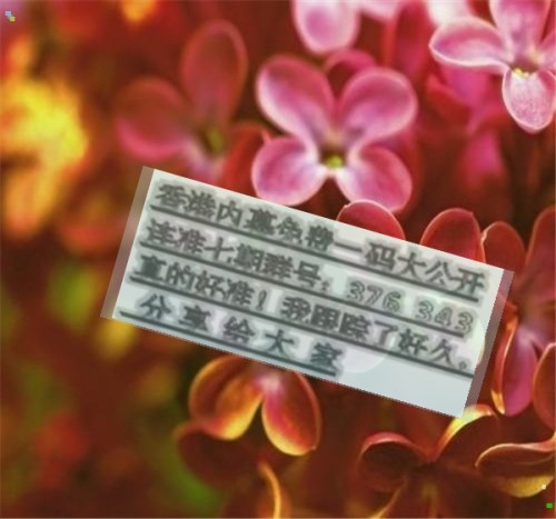 揭秘兩肖必中一肖王中王的秘密策略，揭秘兩肖必中一肖王中王的秘密策略，揭秘生肖彩票的必勝法則！