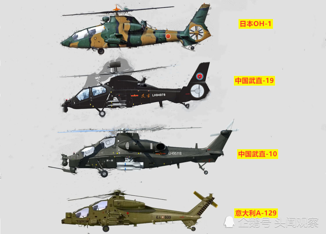 武直19與武直10，中國軍用直升機的驕傲，中國軍用直升機驕傲，武直19與武直10的輝煌