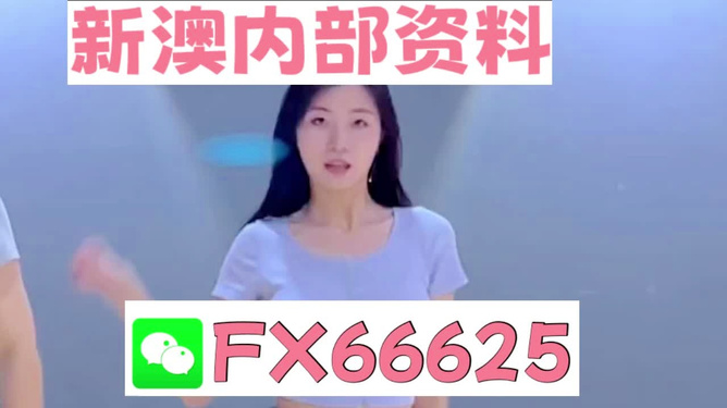 新澳門精準(zhǔn)資料大全——管家婆料解析與探索，澳門精準(zhǔn)資料大全，管家婆料解析與深度探索